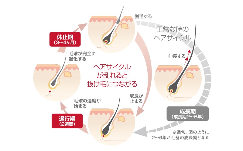 CALECIMヘアケア(臍帯幹細胞培養液) | じょう皮フ科クリニック in 高円寺